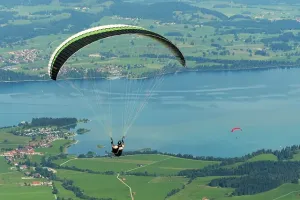 Jakie są zasady gry w bierki?